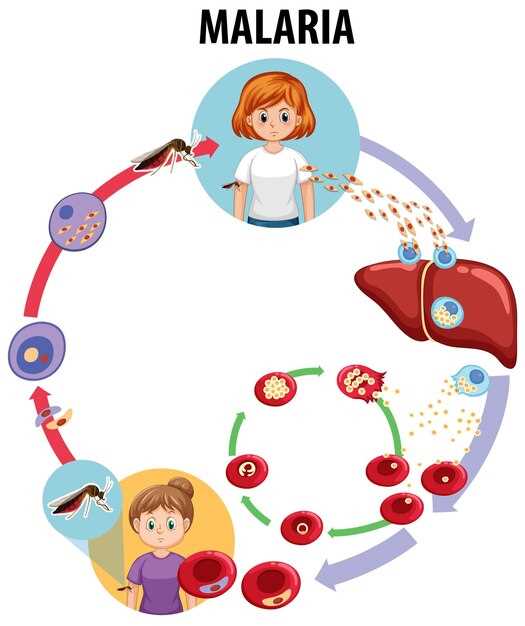 Происхождение железа в организме человека